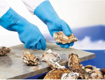 SUMMITECH PROFESSIONAL RL8 MB